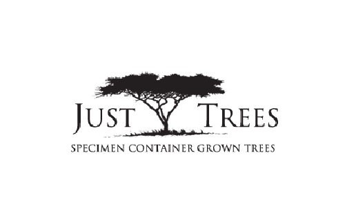 Best Use of Trees in Landscape Design